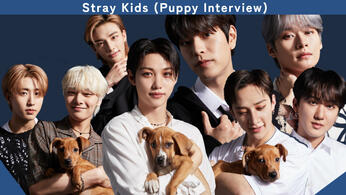 Stray Kids - Puppy Interview